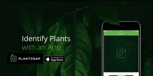 Outsmart Your Plants