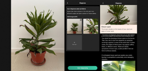 Outsmart Your Plants