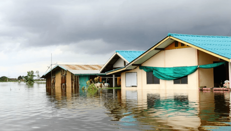 Flood Pokok.Asia