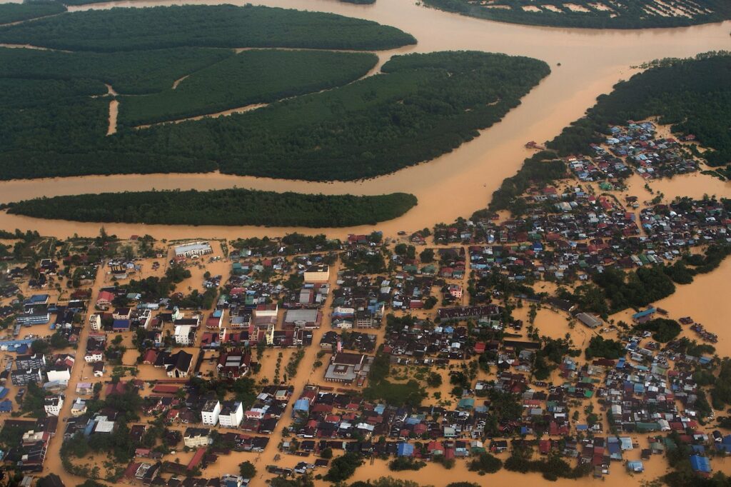 Flood Pokok.Asia