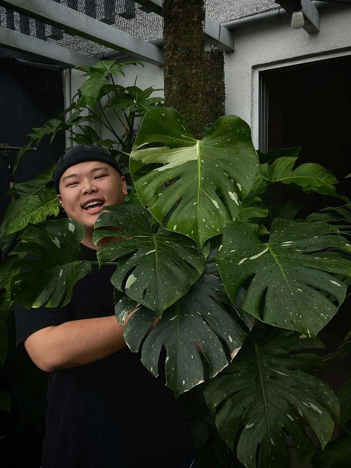 Vegan Pokok.Asia