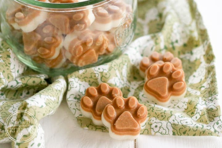 DIY Treats For Your Dog (Part 1)