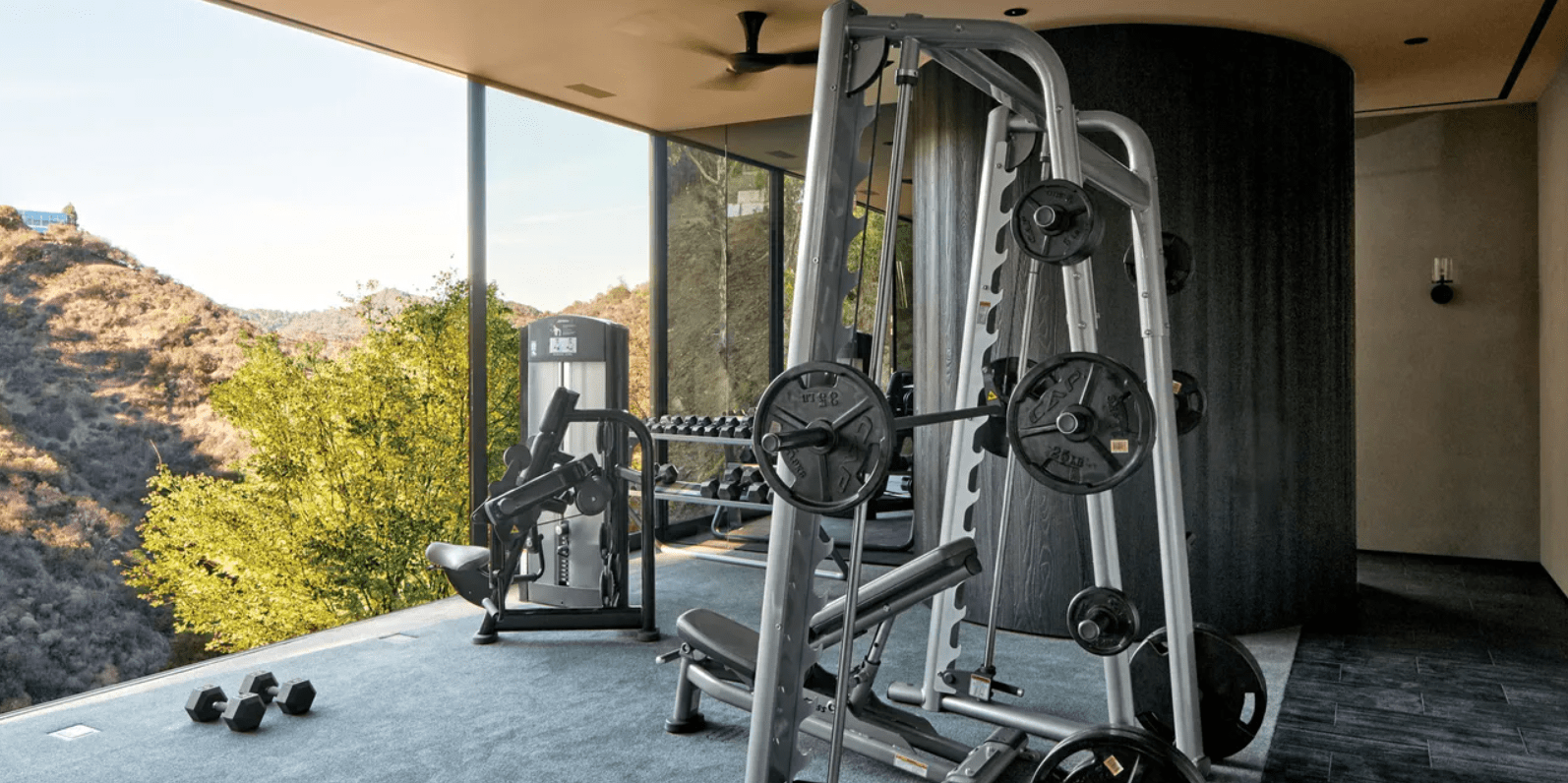 Bring The Gym Into Your Home (Part 1)