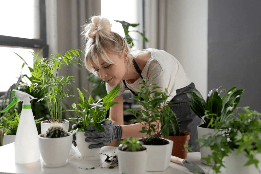 6 Useful Sites for Plant Beginners