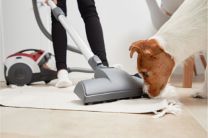 Cleaning up after your fur babies