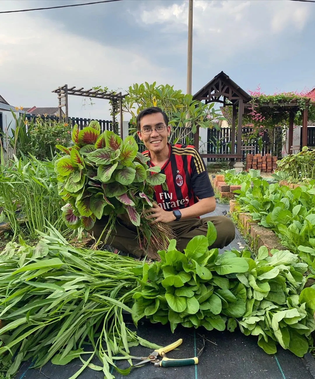 gardening Pokok.Asia