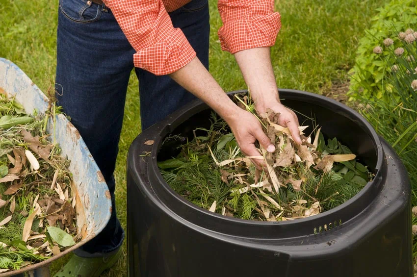 compost Pokok.Asia