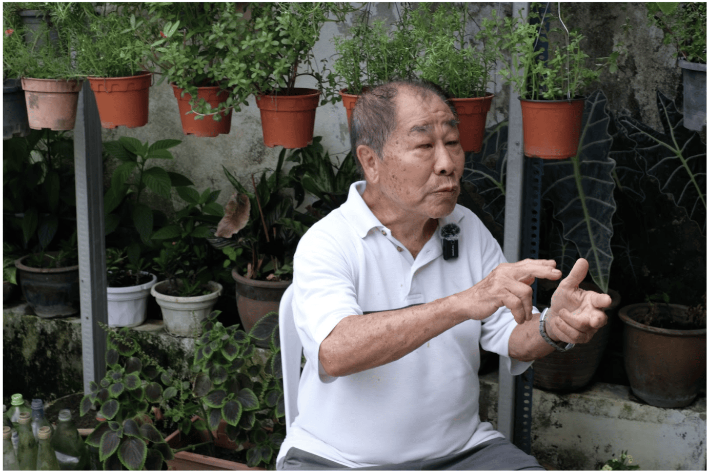 Living and Growing World Pokok.Asia