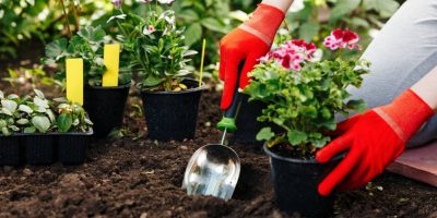 Gardening-soil-A-guide-on-different-types-of-soil-price-and-gardening-tips