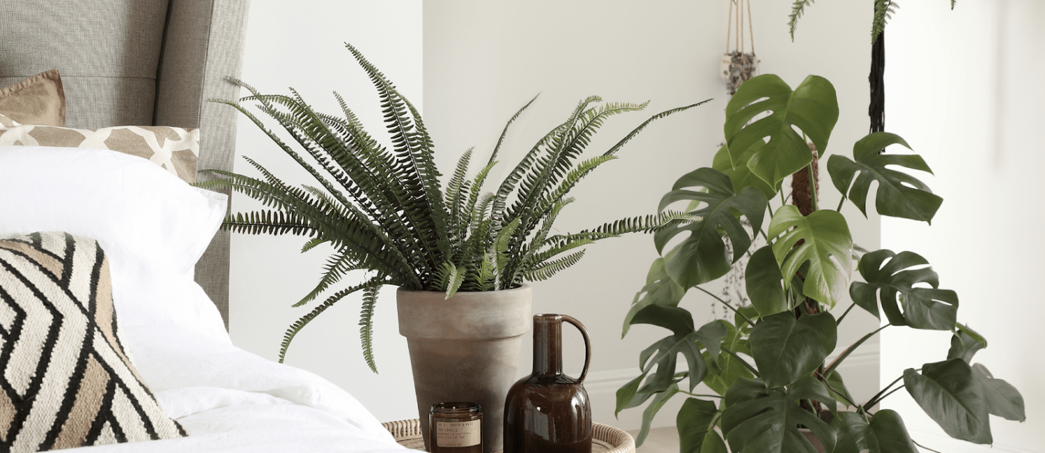 Let The Plants Take Your Fatigue Away