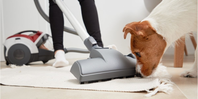 Cleaning up after your fur babies