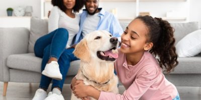 Adopt,An,Animal.,Closeup,Portrait,Of,Cheerful,African,American,Girl